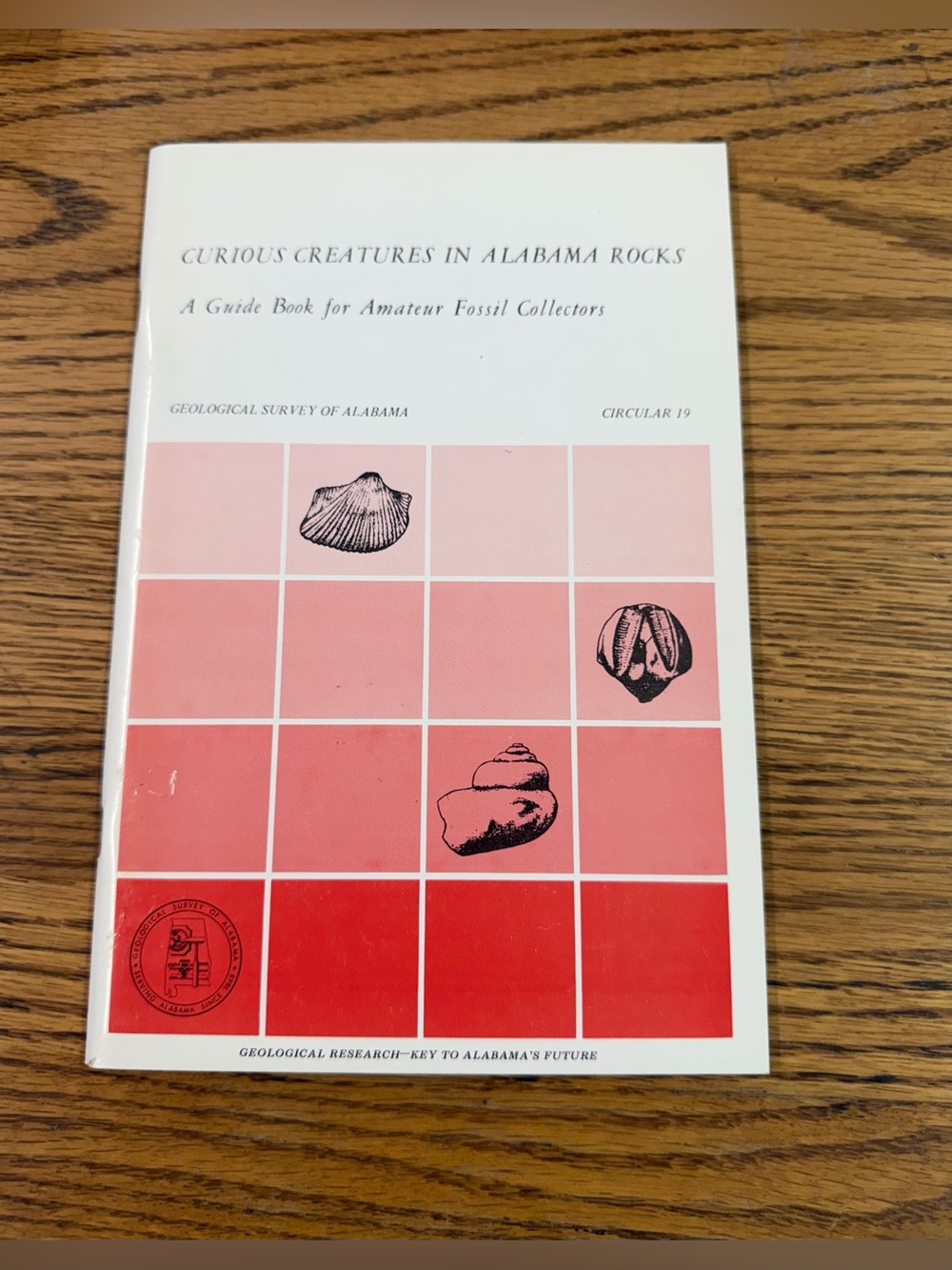 Curious Creatures in Alabama Rocks Guide Book Amateur Fossil Collectors with map